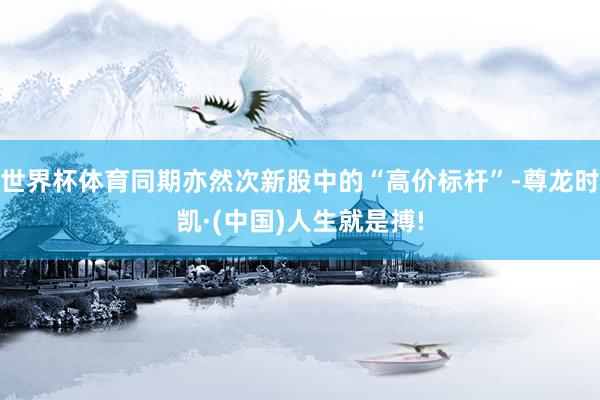 世界杯体育同期亦然次新股中的“高价标杆”-尊龙时凯·(中国)
