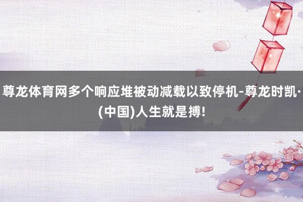 尊龙体育网多个响应堆被动减载以致停机-尊龙时凯·(中国)人生就是搏!