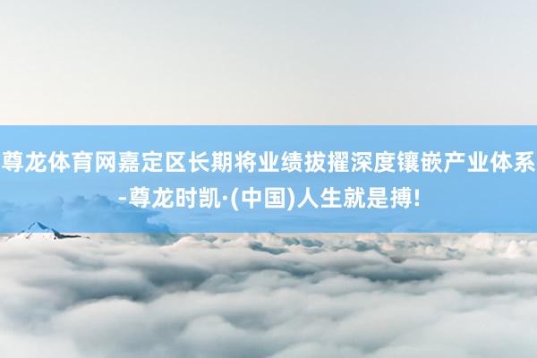 尊龙体育网嘉定区长期将业绩拔擢深度镶嵌产业体系-尊龙时凯·(