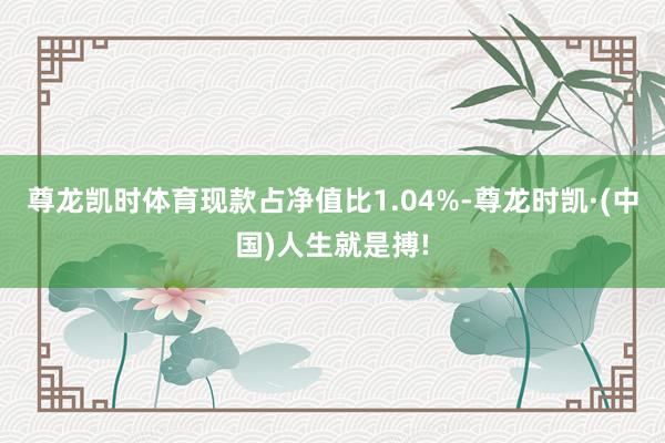 尊龙凯时体育现款占净值比1.04%-尊龙时凯·(中国)人生就