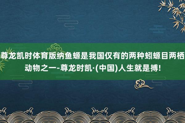 尊龙凯时体育版纳鱼螈是我国仅有的两种蚓螈目两栖动物之一-尊龙时凯·(中国)人生就是搏!