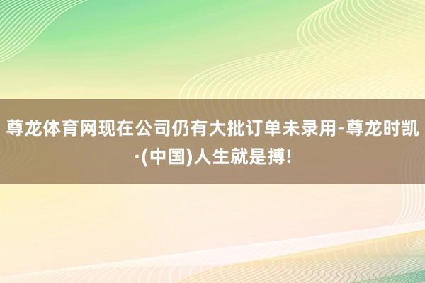 尊龙体育网 现在公司仍有大批订单未录用-尊龙时凯·(中国)人生就是搏!