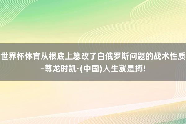 世界杯体育从根底上篡改了白俄罗斯问题的战术性质-尊龙时凯·(