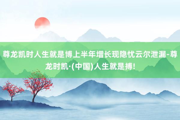 尊龙凯时人生就是博上半年增长现隐忧云尔泄漏-尊龙时凯·(中国