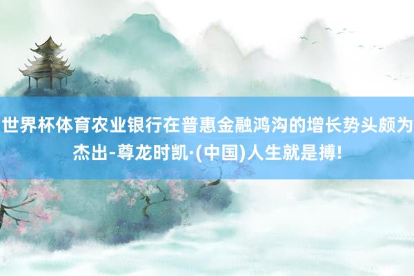 世界杯体育农业银行在普惠金融鸿沟的增长势头颇为杰出-尊龙时凯