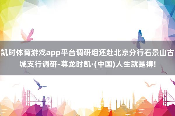 凯时体育游戏app平台调研组还赴北京分行石景山古城支行调研-