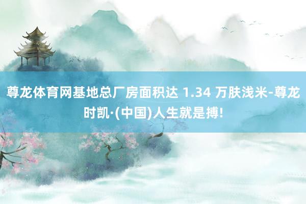 尊龙体育网基地总厂房面积达 1.34 万肤浅米-尊龙时凯·(中国)人生就是搏!
