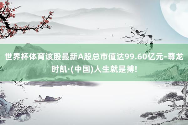 世界杯体育该股最新A股总市值达99.60亿元-尊龙时凯·(中