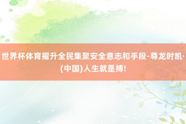 世界杯体育擢升全民集聚安全意志和手段-尊龙时凯·(中国)人生