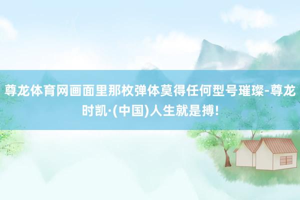 尊龙体育网画面里那枚弹体莫得任何型号璀璨-尊龙时凯·(中国)