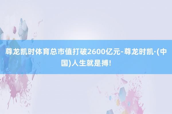 尊龙凯时体育总市值打破2600亿元-尊龙时凯·(中国)人生就