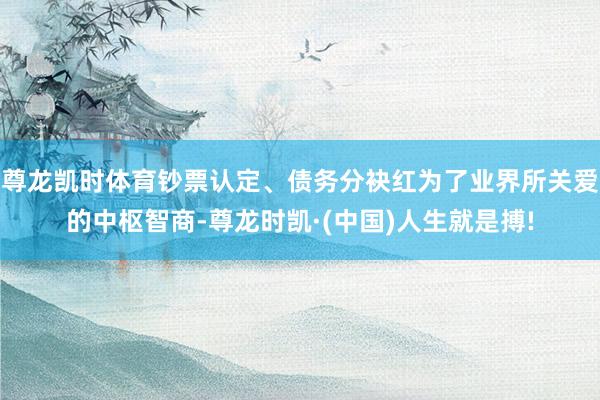 尊龙凯时体育钞票认定、债务分袂红为了业界所关爱的中枢智商-尊
