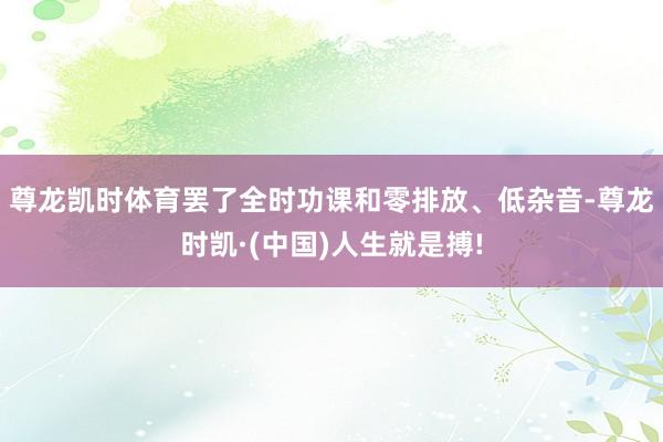 尊龙凯时体育罢了全时功课和零排放、低杂音-尊龙时凯·(中国)