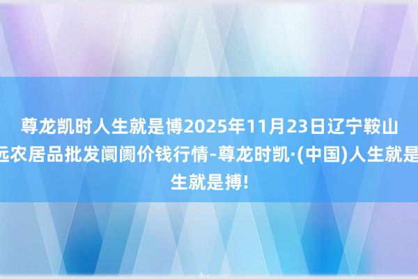 尊龙凯时人生就是博2025年11月23日辽宁鞍山宁远农居品批