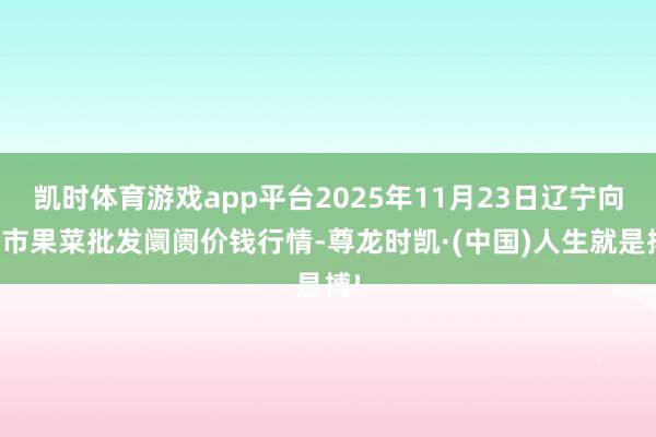 凯时体育游戏app平台2025年11月23日辽宁向阳市果菜批