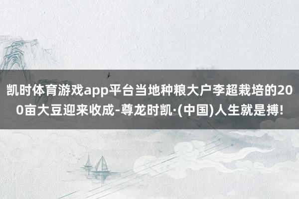 凯时体育游戏app平台当地种粮大户李超栽培的200亩大豆迎来