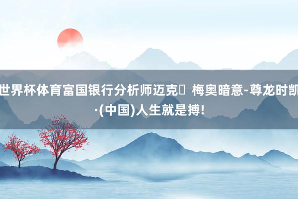 世界杯体育富国银行分析师迈克・梅奥暗意-尊龙时凯·(中国)人生就是搏!