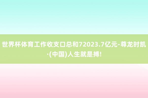 世界杯体育工作收支口总和72023.7亿元-尊龙时凯·(中国