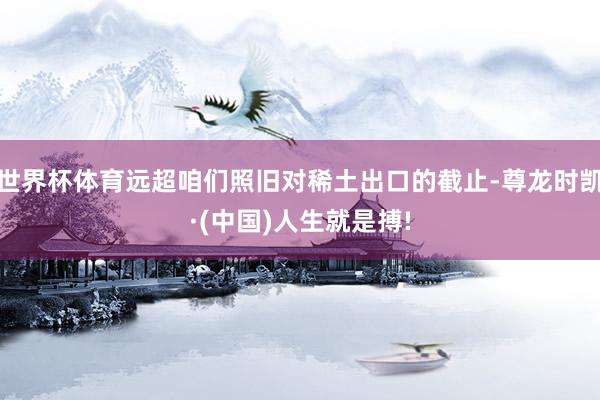 世界杯体育远超咱们照旧对稀土出口的截止-尊龙时凯·(中国)人