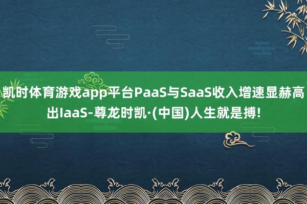 凯时体育游戏app平台PaaS与SaaS收入增速显赫高出Ia