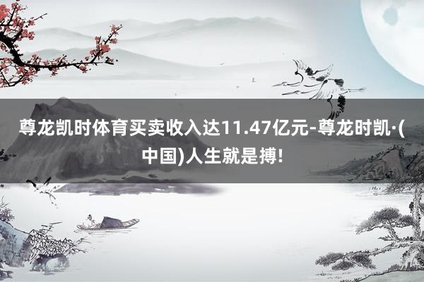 尊龙凯时体育买卖收入达11.47亿元-尊龙时凯·(中国)人生
