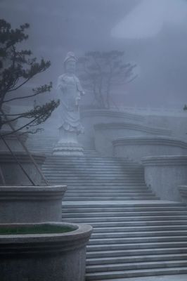 祖山济心寺·木佛博物馆 | ARCHSTUDIO
