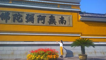 心诚则灵────我在大智禅寺