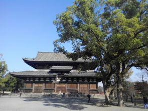 旅游就是修行 东寺 修行者做到手结印契,口诵真言密咒,心观法界实相,三密相应,就可以即身成佛