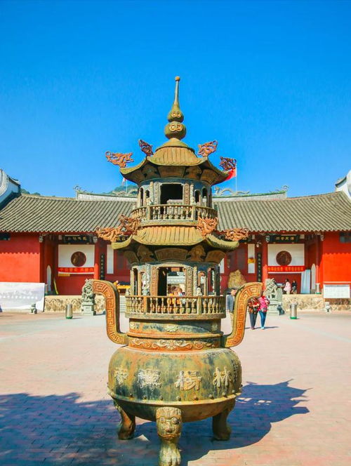 福州这个寺庙火了,500多棵梅花盛开,周末去正好