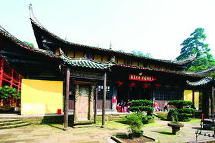 你养我长大,我陪你变老......