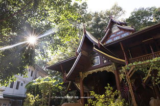 给心放个假 清迈朗奔佛寺内观禅修中心 详细信息
