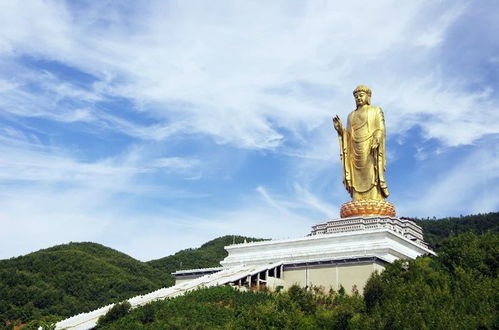 五月 尧山万亩杜鹃花海惊艳盛放 3小时即达,门票半价哦