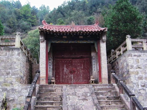 微史论 考察 19级美术学班 心若香茗,静听花开