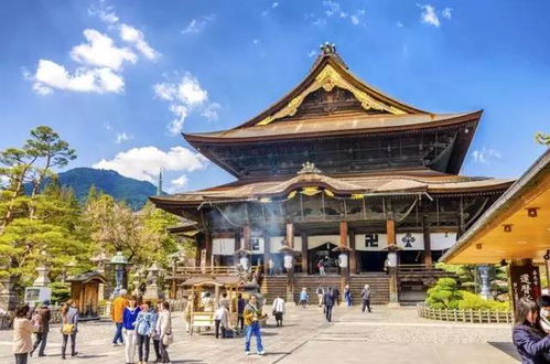 寺庙竟是日本民宿主力 十处 禅房 过目不忘