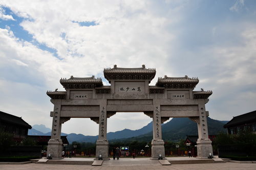 日寇屠村,少林寺僧人们争论是否抗战杀生 结论 杀鬼子的是高僧