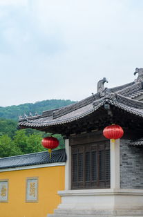重回溪口,用爱前行