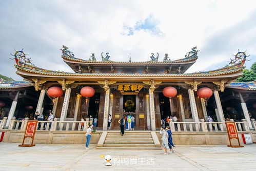 厦门最良心景点恢复开放,免门票还赠香,佛音缭绕无商业化