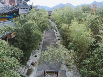 心寺