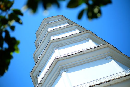 心远地自偏,福州这小众寺庙安静惹人爱