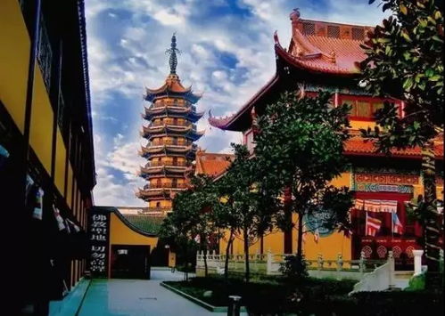 吃喝玩乐 第117期 春暖花开时,盐城旅游景区有序开放