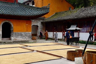 寺若成,国即清 国清寺见闻
