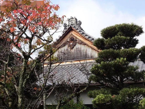 且坐吃茶 京都妙心寺大法院
