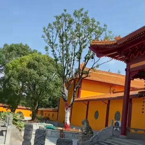 洗心禅寺门票,洗心禅寺游玩攻略 360地图