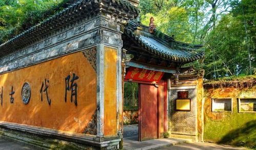 浙江又现 0差评 景区,口碑足以媲美西湖,曾被央视点名夸奖