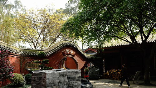 古寺烟火气,最抚凡人心 成都寺院巡礼 二