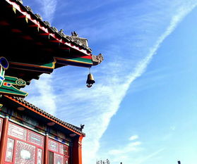 让我们一起回归心灵的家园 青岗寺