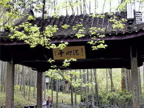 杭州灵隐寺组织云林志工 赴云栖莲池舍利塔祭祖