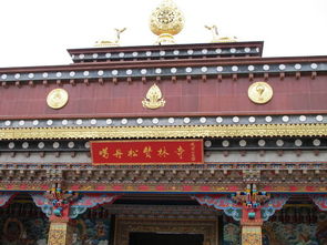 丽江梅里雪山之旅