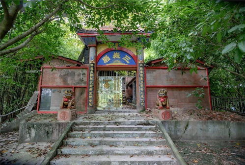 观寺社区 宜居 宜商 宜游,是你心安处