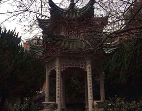 2020慈云极乐寺门票,岱山慈云极乐寺游玩攻略,慈云极乐寺游览攻略路线 地址 门票价格